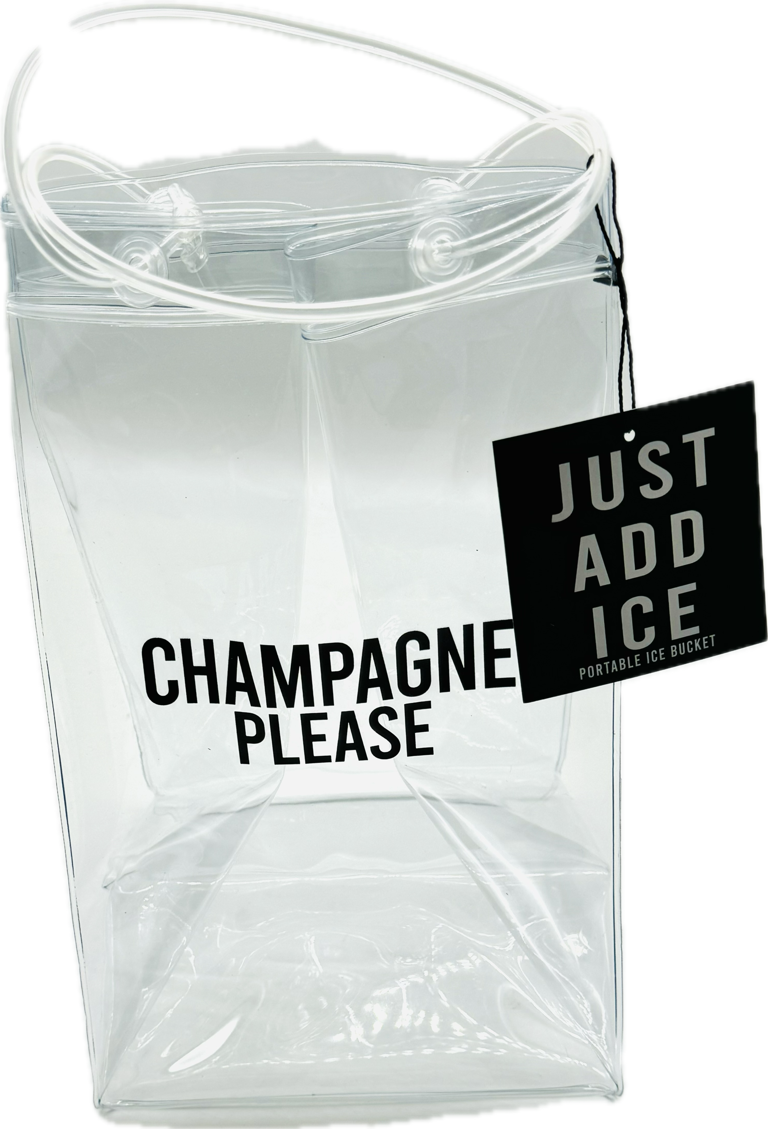 Portable Clear Wine Bag/Cooler - (three variants)