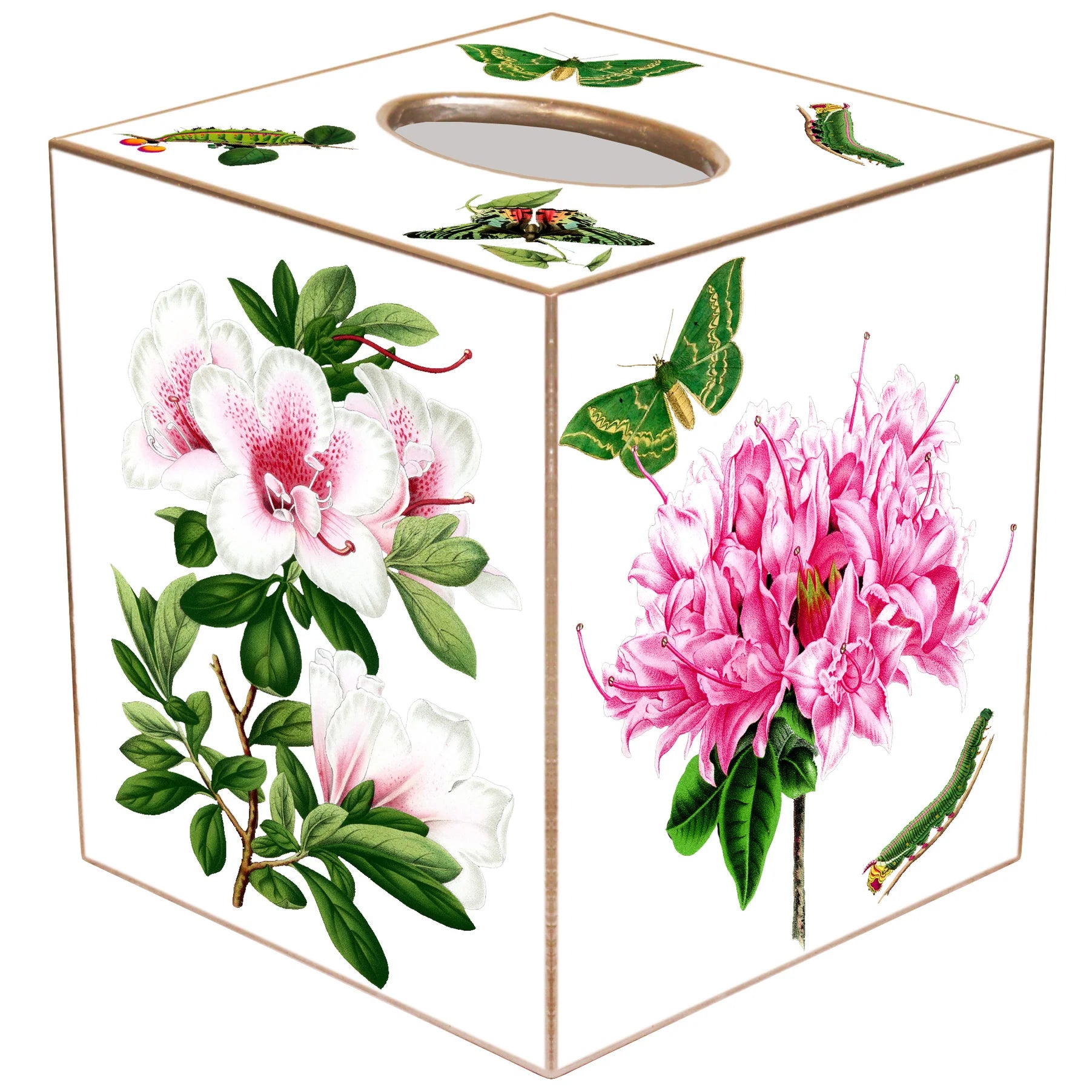 Azaleas on White Tissue Box Cover