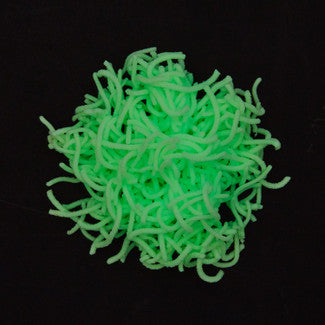 Wormy Squirmy Glow in the Dark Jiggle Worms