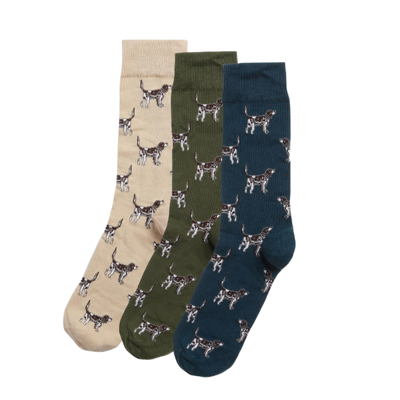 Barbour Pointer Dog Socks  - Gift Boxed Forest Mist