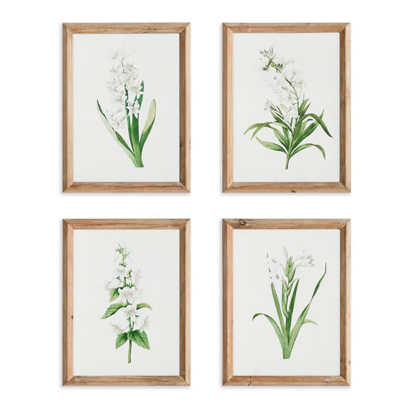 Garden Bloom Prints - (set of four)