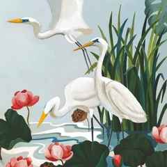Egrets and Water Lilies