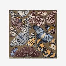 Inoui Editions Scarf | Papillons Khaki