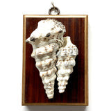 Museum Bees Wooden Frame with Shells