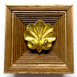 Museum Bees Wooden Frame with Shell