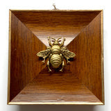 Wooden Frame with Grande Bee