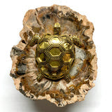 Museum Bees -  Multiple Variants