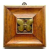 Museum Bees -  Multiple Variants