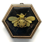 Museum Bees -  Multiple Variants