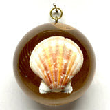 Museum Bees Acrylic Dome Frame with Shell
