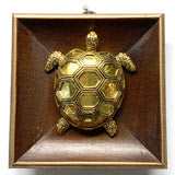 Museum Bees Wooden Frame with Turtle