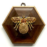 Museum Bees - More Multiple Variants