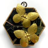 Museum Bees - More Multiple Variants