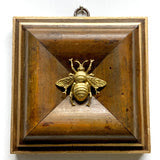 Museum Bees -  Multiple Variants