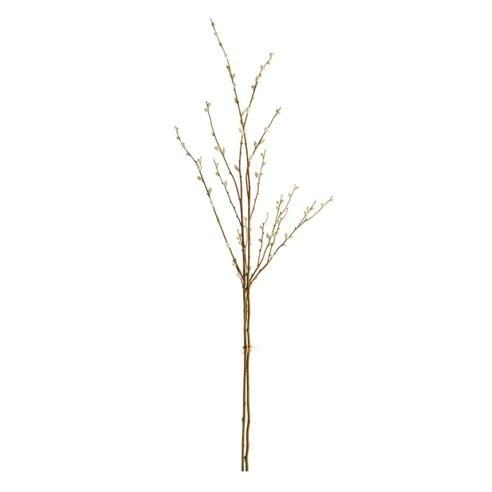Pussy Willow Stems Bundle