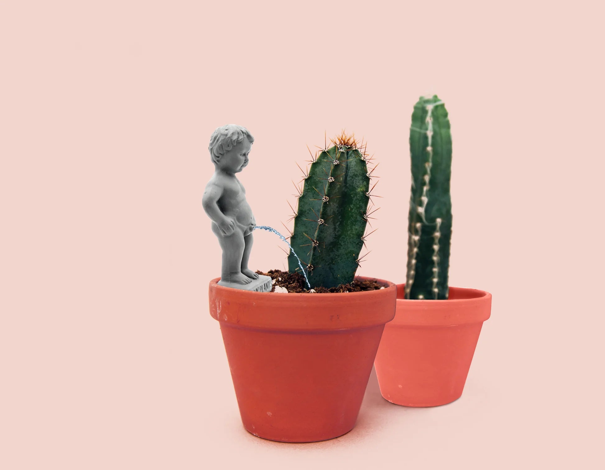 peeing plant pot Plant Life Pee My Plants — Two Friends
