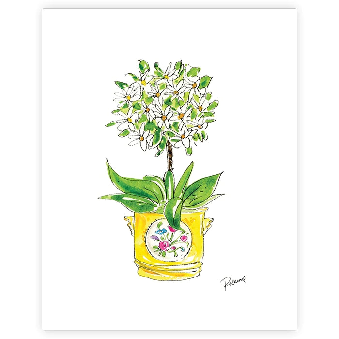 Hand Painted White Daisies in Cache Pot Framed 18"x 22"